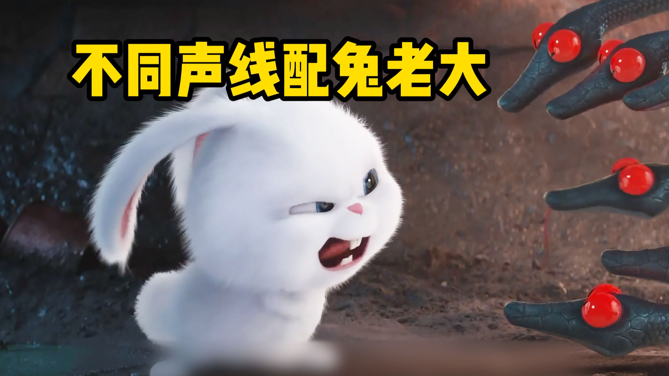 不同声线配兔老大