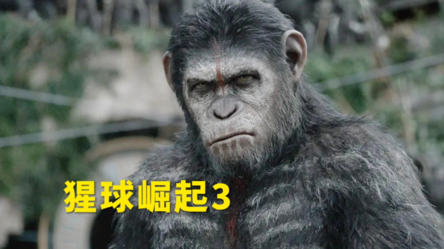 【猩球崛起3：终极之战】猿族传奇领袖落幕，凯撒大帝的终章！