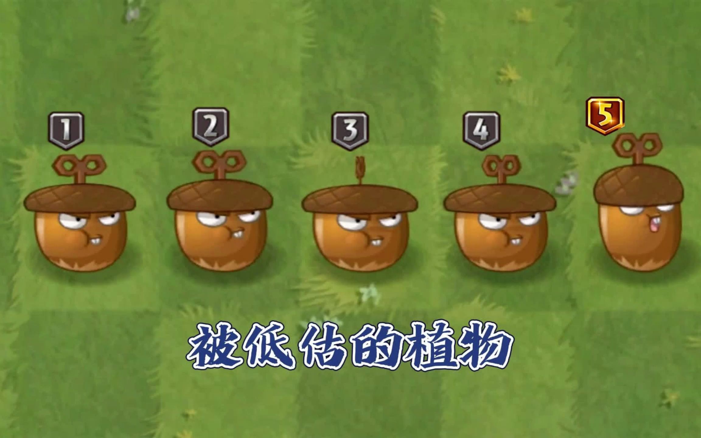 植物大战僵尸2：被低估的旋风橡果！