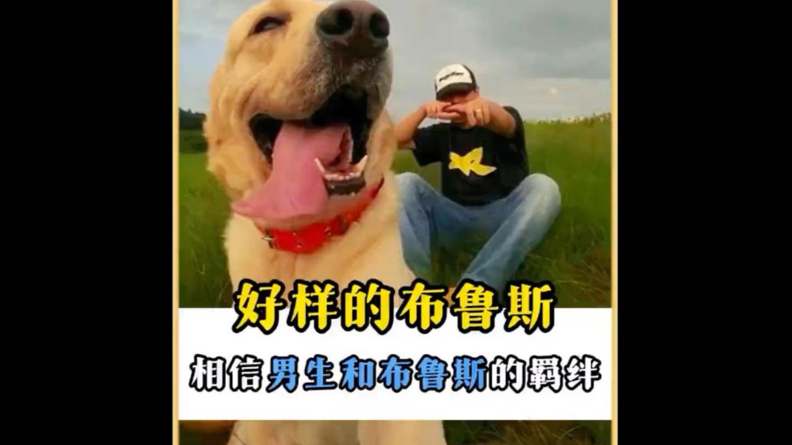 为什么男生会更钟爱布鲁斯，因为布鲁斯才是男生最强羁绊