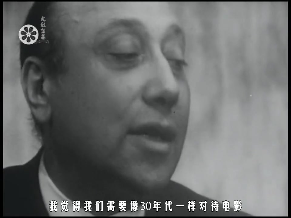 梅尔维尔谈独行杀手（中字）
