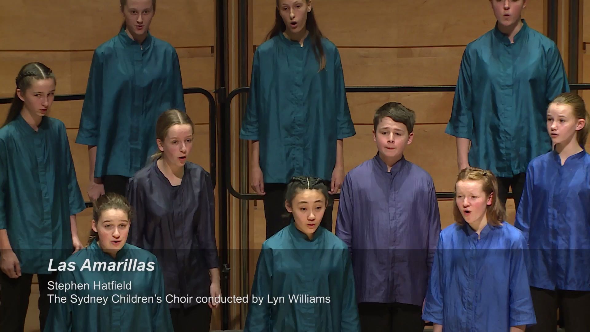 《Las Amarillas 》《金黄色的夜莺》 - The Sydney Children’s Choir