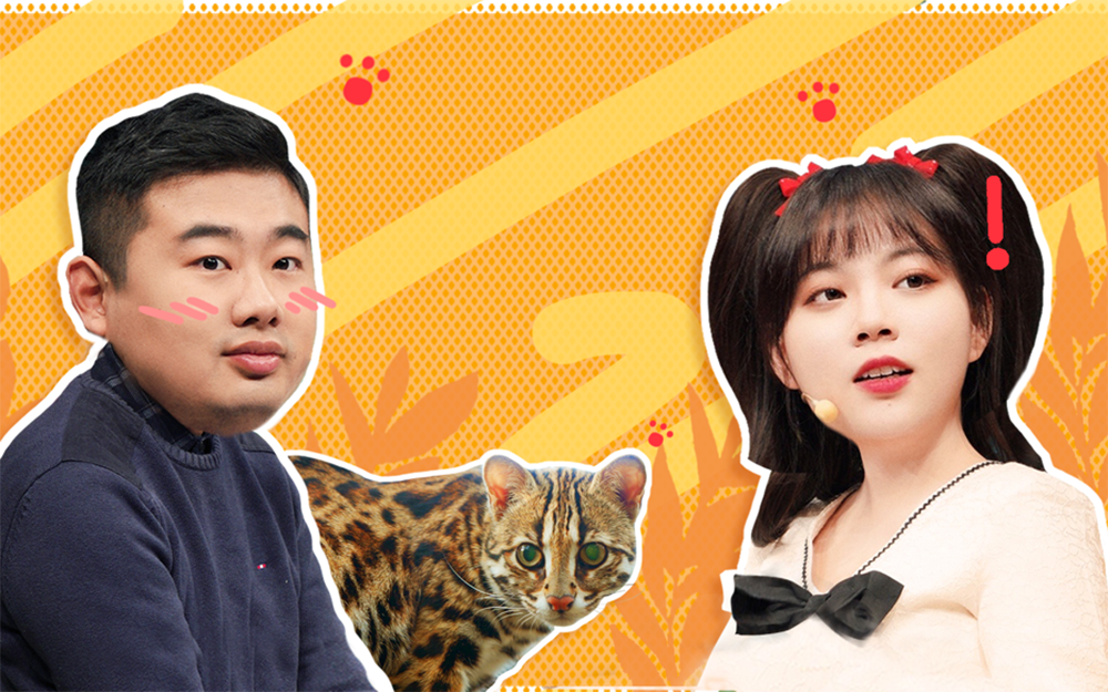 第9期 豹猫尝试回归自然 这个“杀手”不太冷？【动物圈的问号脸2】