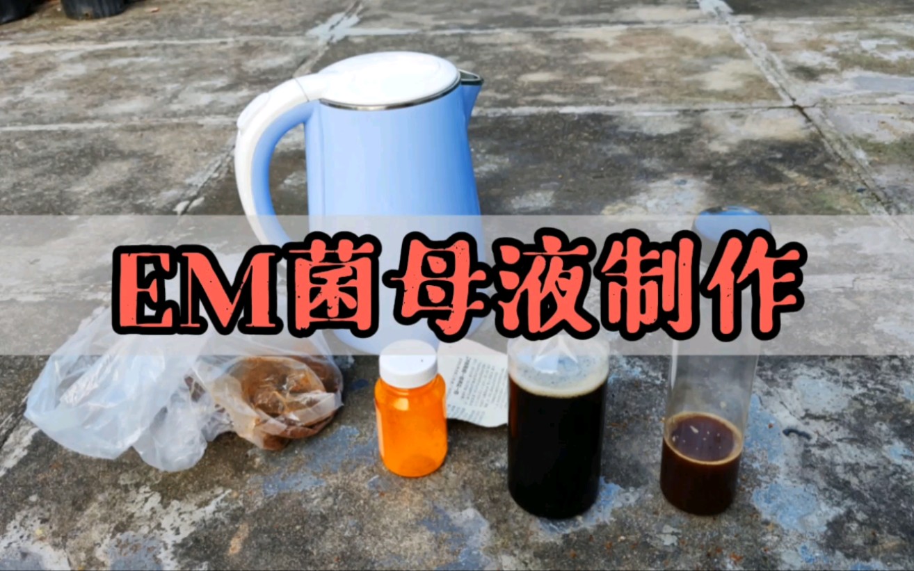 7天快速自制生物发酵菌，小小一瓶就能发酵一大桶，不发臭营养好