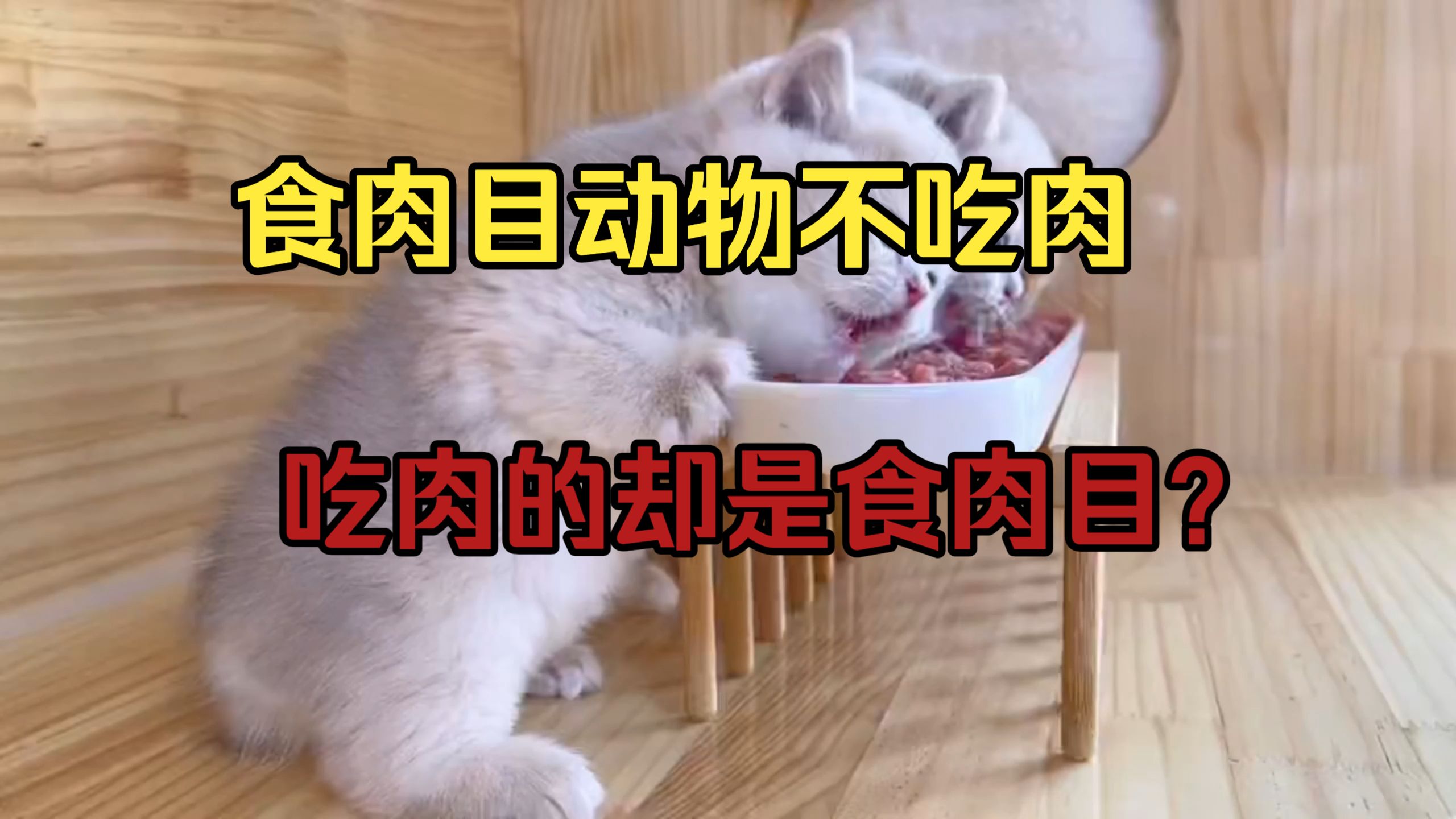 食肉目动物不吃肉。吃肉动物却不是食肉目？