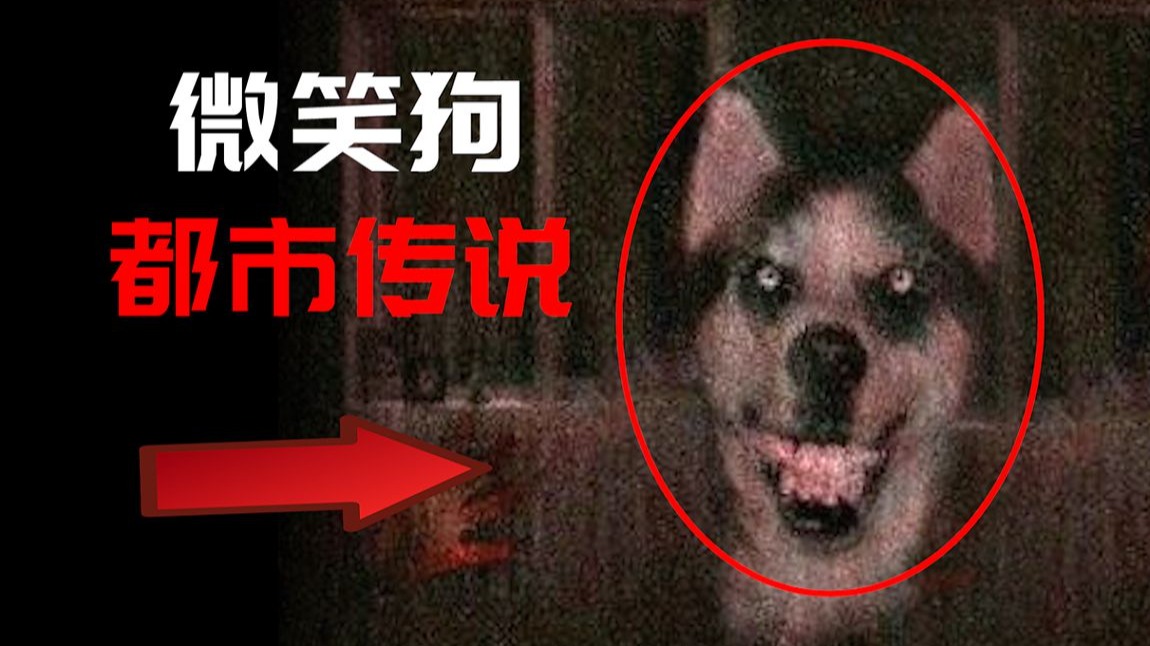 【破解】都市传说“微笑狗”，人面狗真的存在吗？
