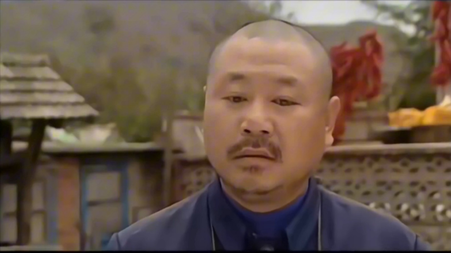 【刘老根1】药匣子合集—2