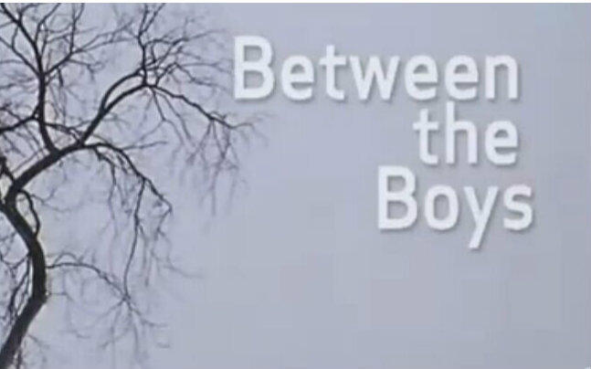 兄弟之间的秘密Between the Boys (2004)【舔眼睛！】