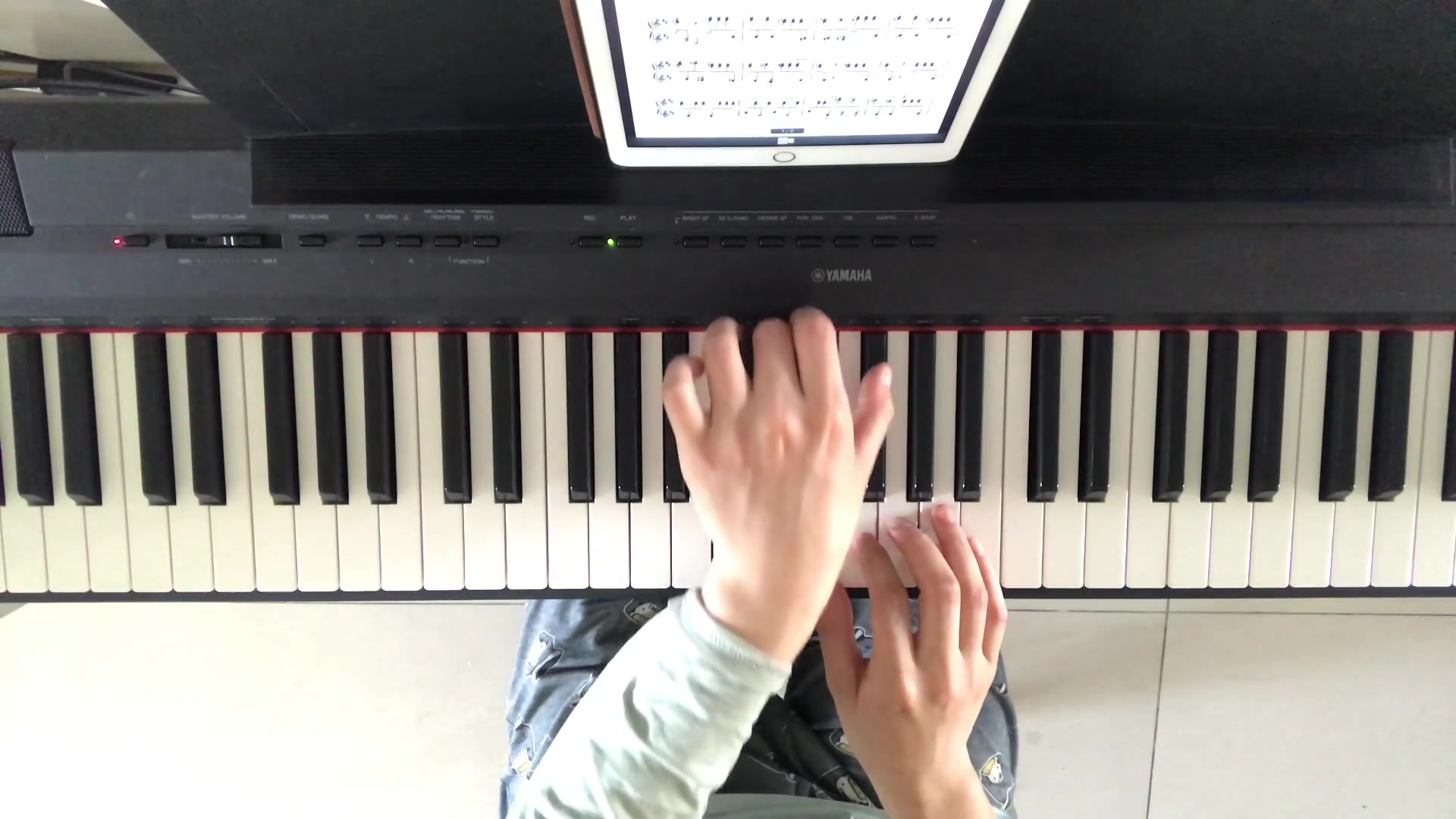 5级考级作品：扑蝴蝶