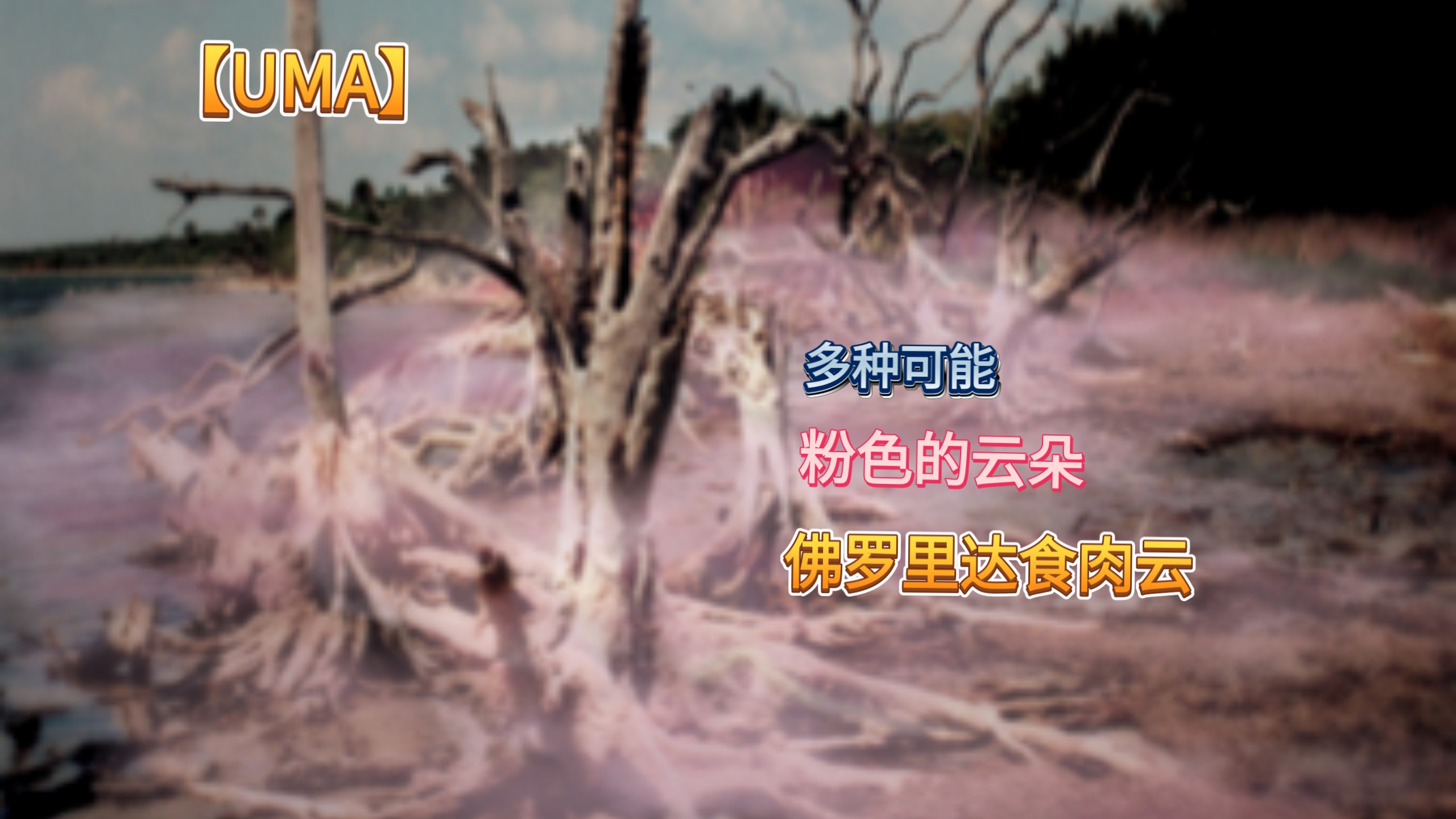 【UMA】贴着地的粉云“佛罗里达食肉云”讲解