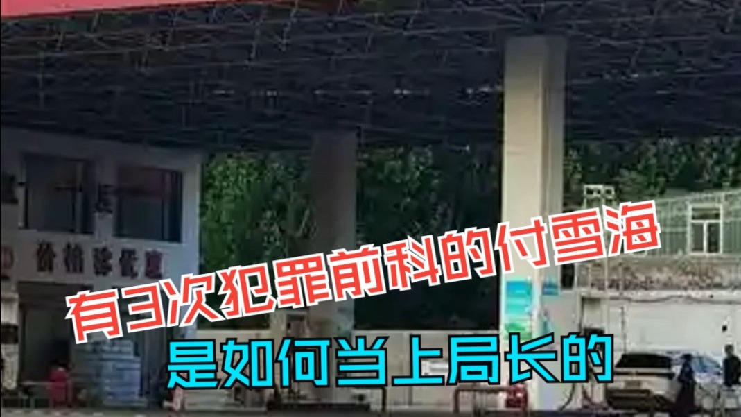 有3次犯罪前科的付雪海 究竟是如何当上局长的