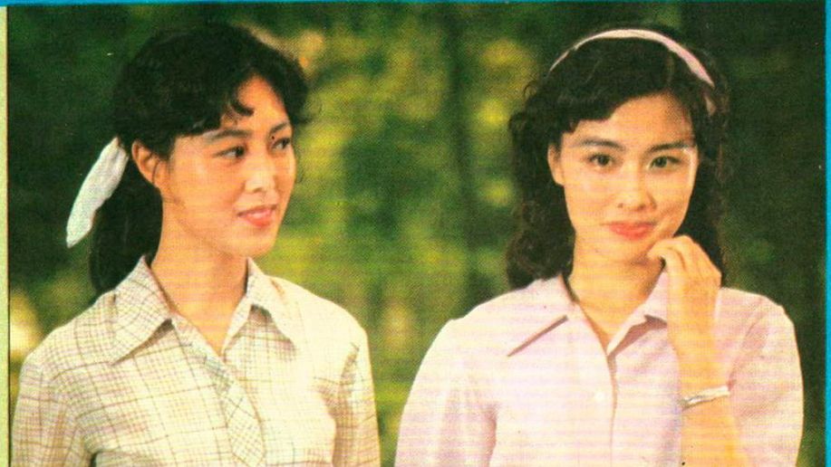 何处不风流 (1983)