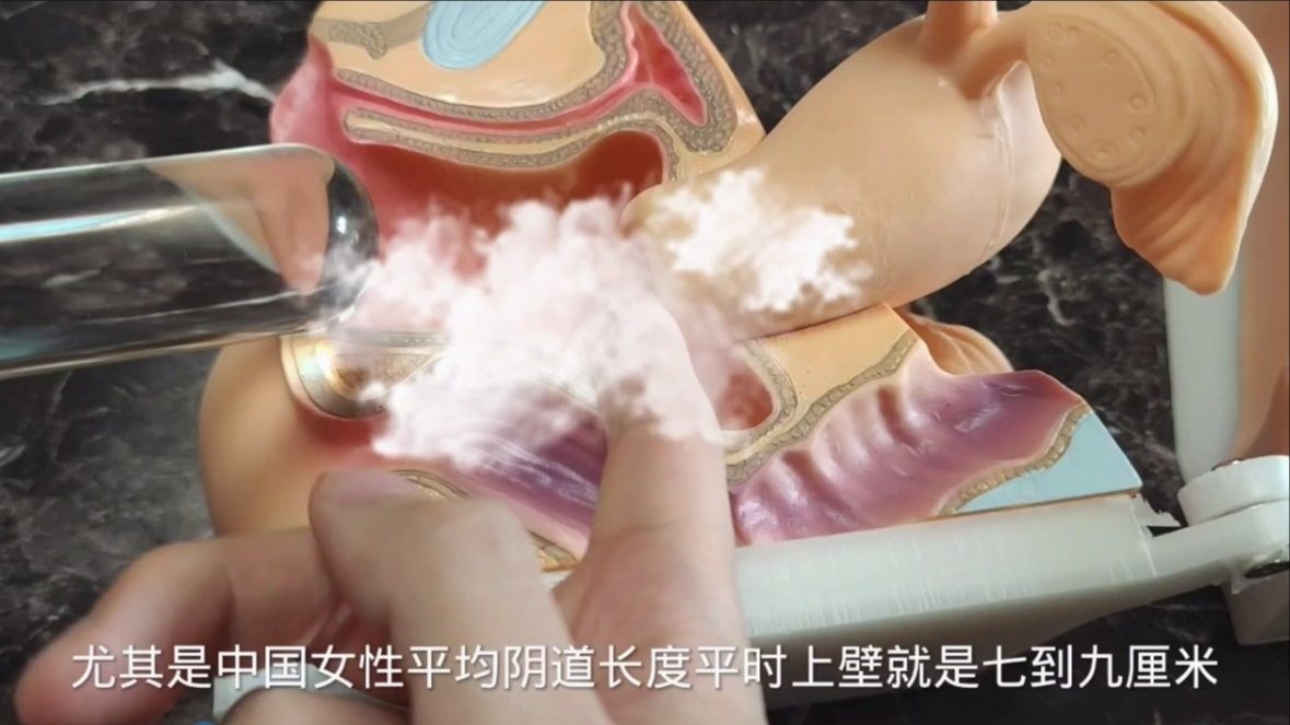 男性多长能顶进子宫?