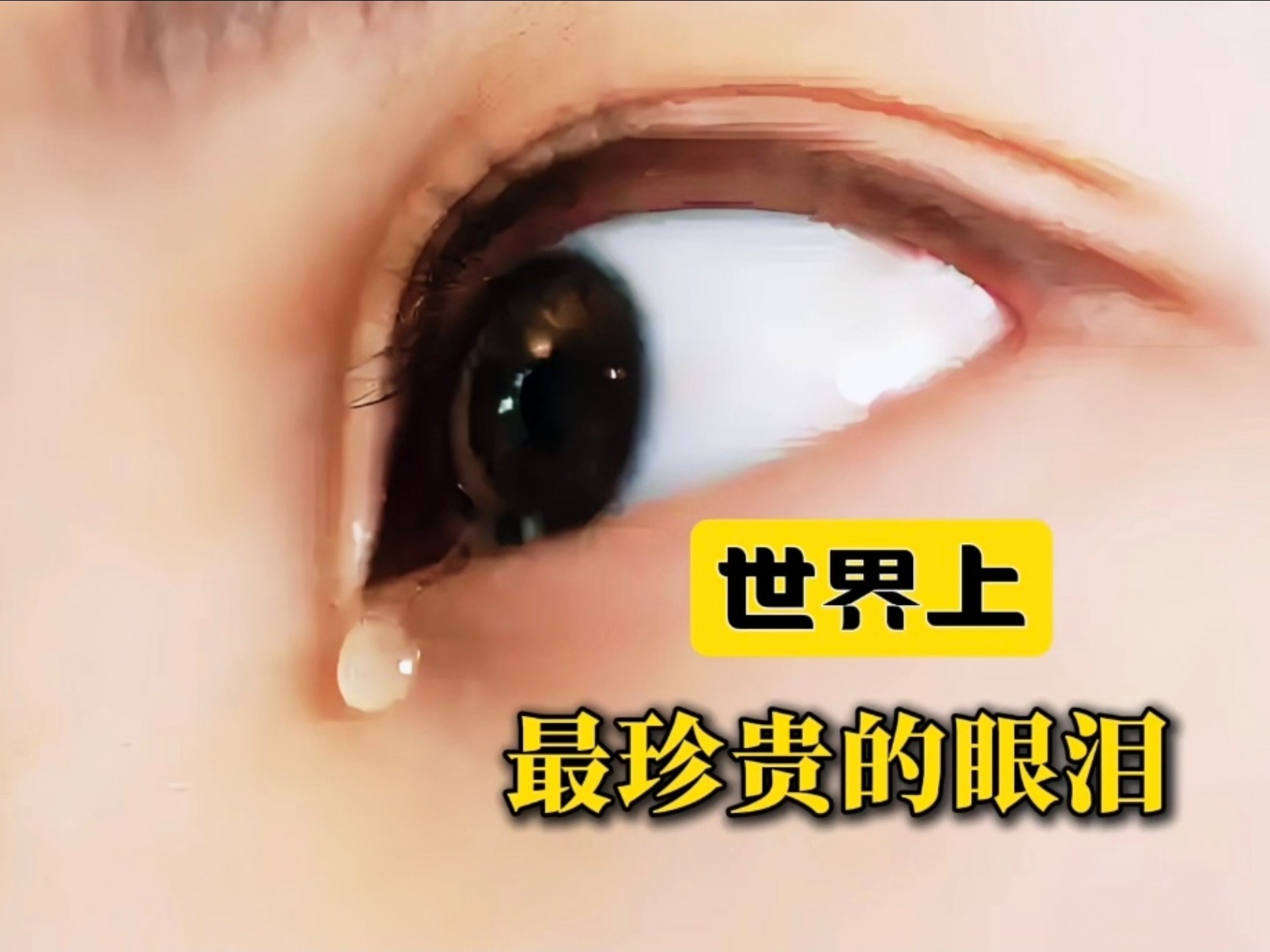 世界上最珍贵的眼泪