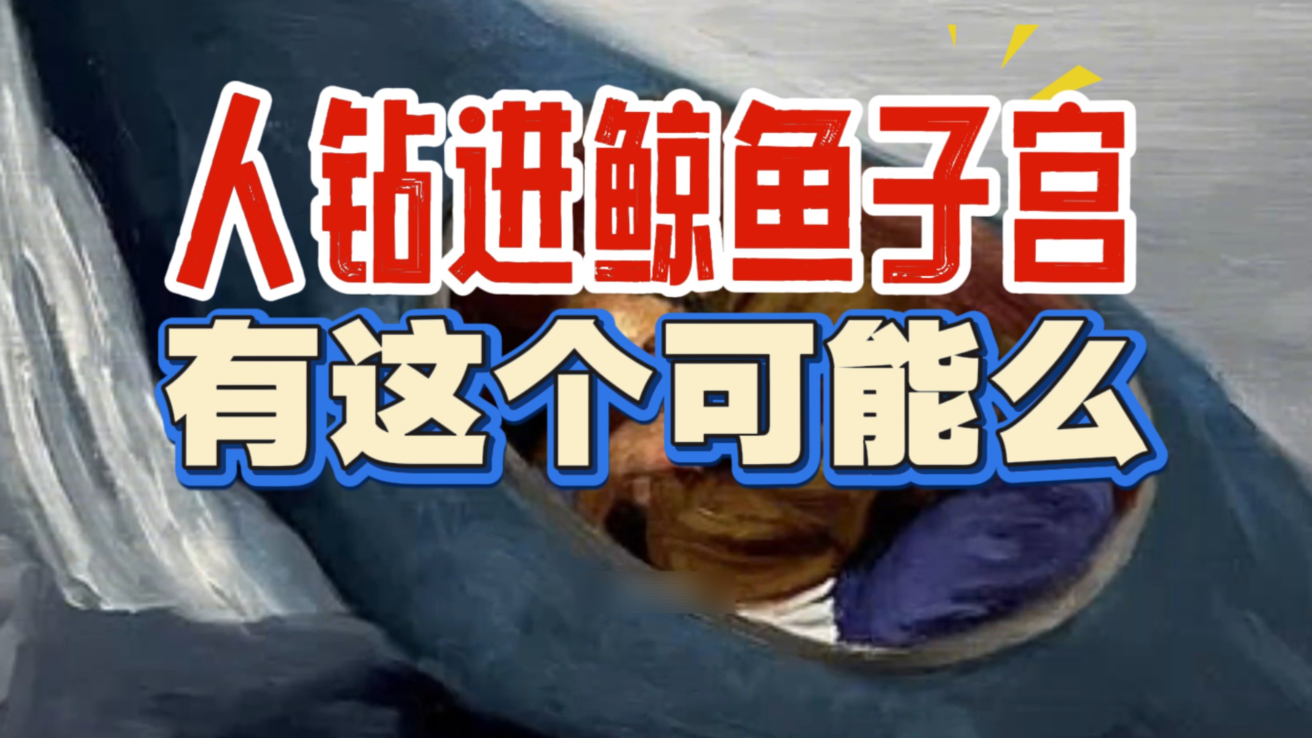 当人类钻进鲸鱼的子宫，会发生什么？