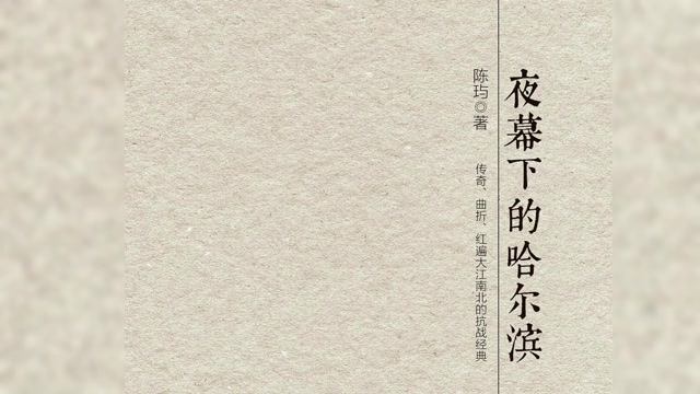 童年回忆：夜幕下的哈尔滨 王刚