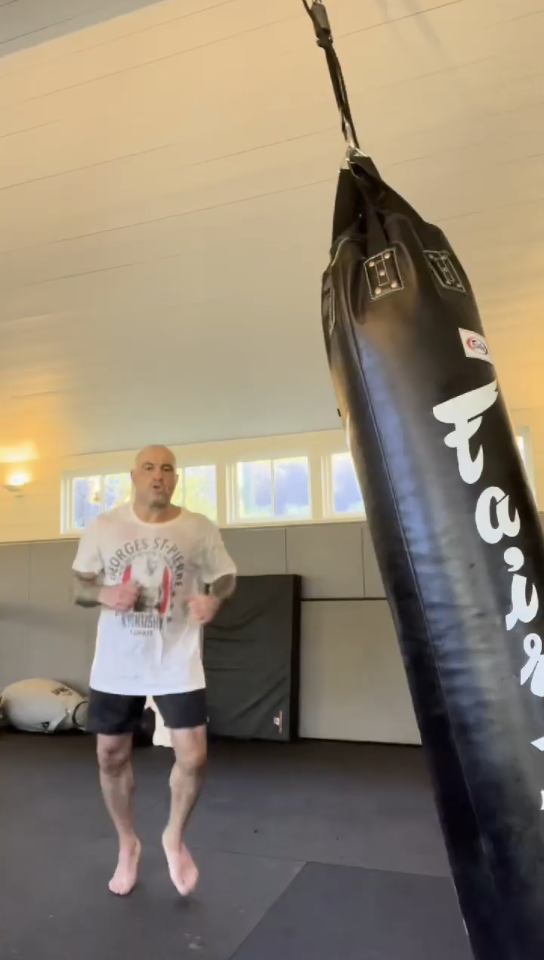 UFC解说乔罗根展示腿法