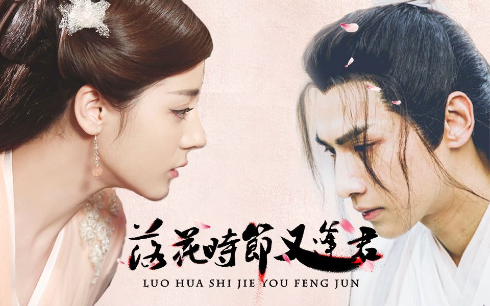 【小说改编】蜀客《落花时节又逢君》迪丽热巴X罗云熙X杨洋X陈晓 |我就是想做神后！那就修仙吧