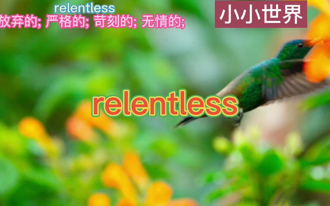 雅思单词relentless