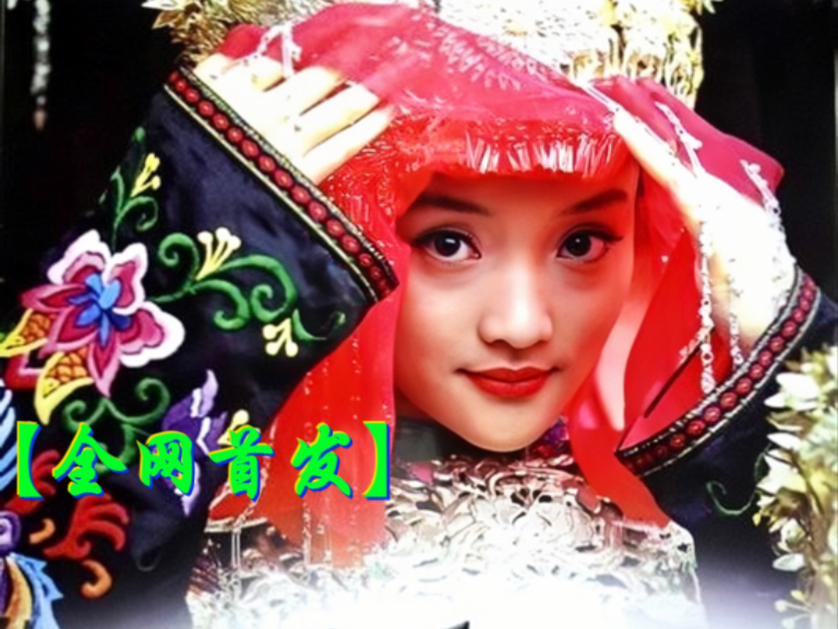 我心飞翔（2005）陈道明/李小璐/郑钧/丁勇岱/马捷