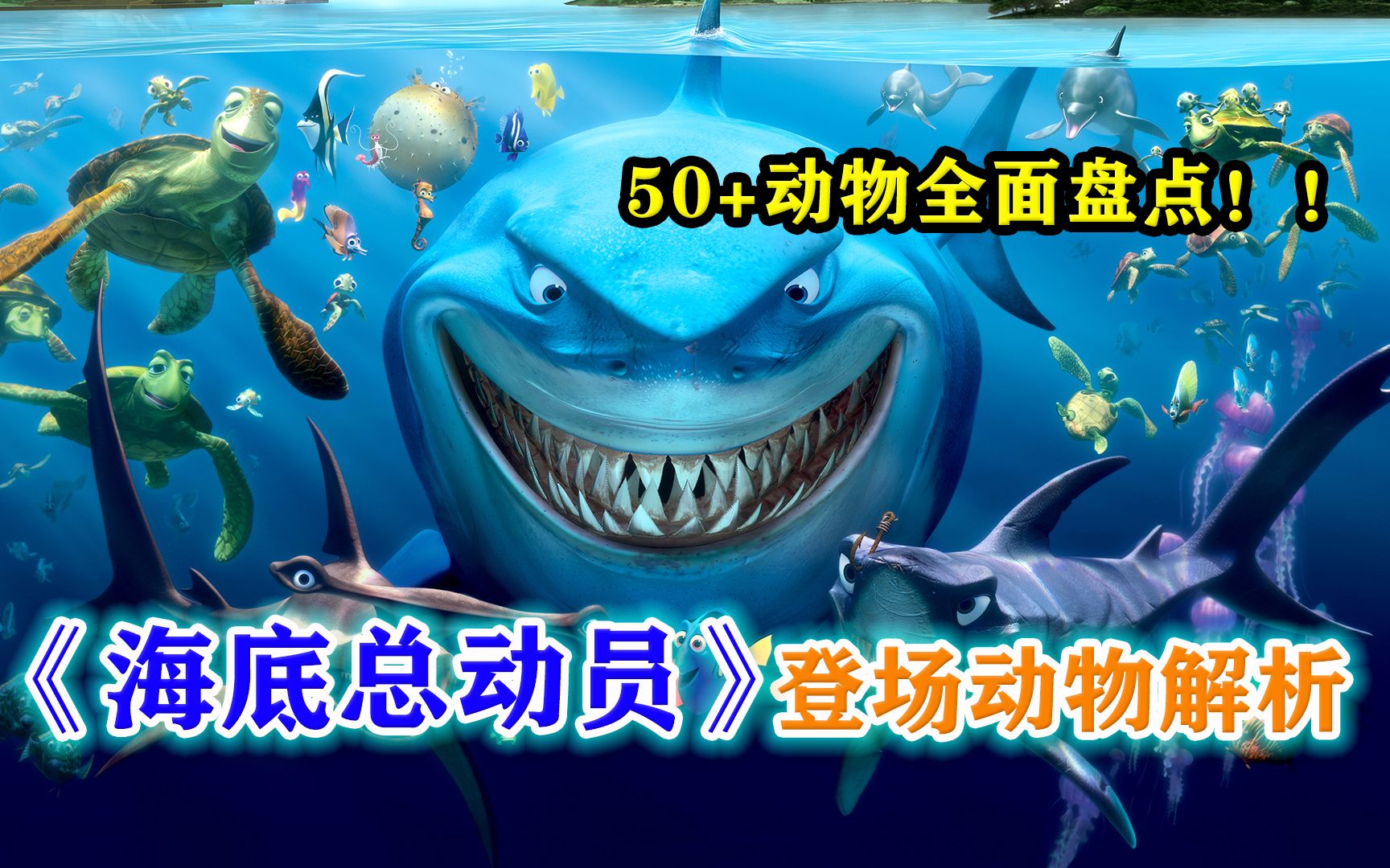 童年经典！海底总动员中的动物现实中长啥样？【《海底总动员1》50+种登场动物盘点解析（上）】