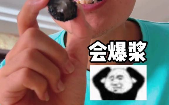 一群猪的故事