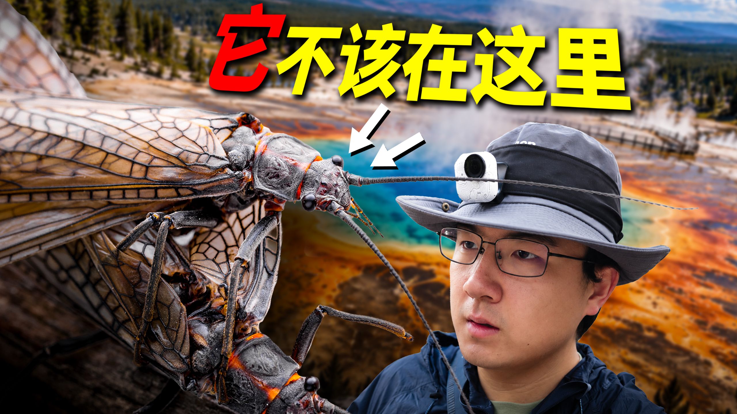 我在地球上最像外星的地方，发现了一个“不该存在”的生物！！| 斯洛挺进美国狂野西部！