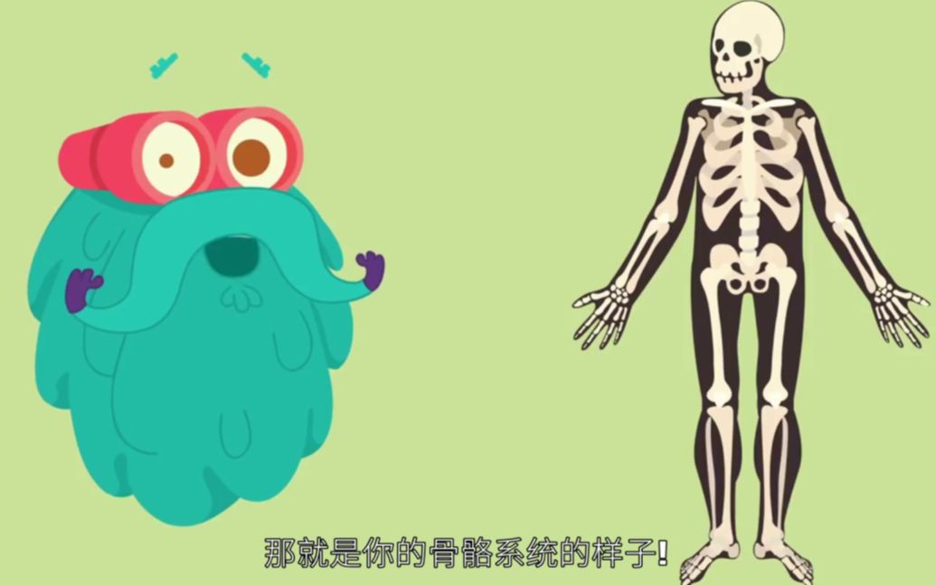 【科普】人体骨骼 Bones - The Dr. Binocs Show - Learn Videos For Kids
