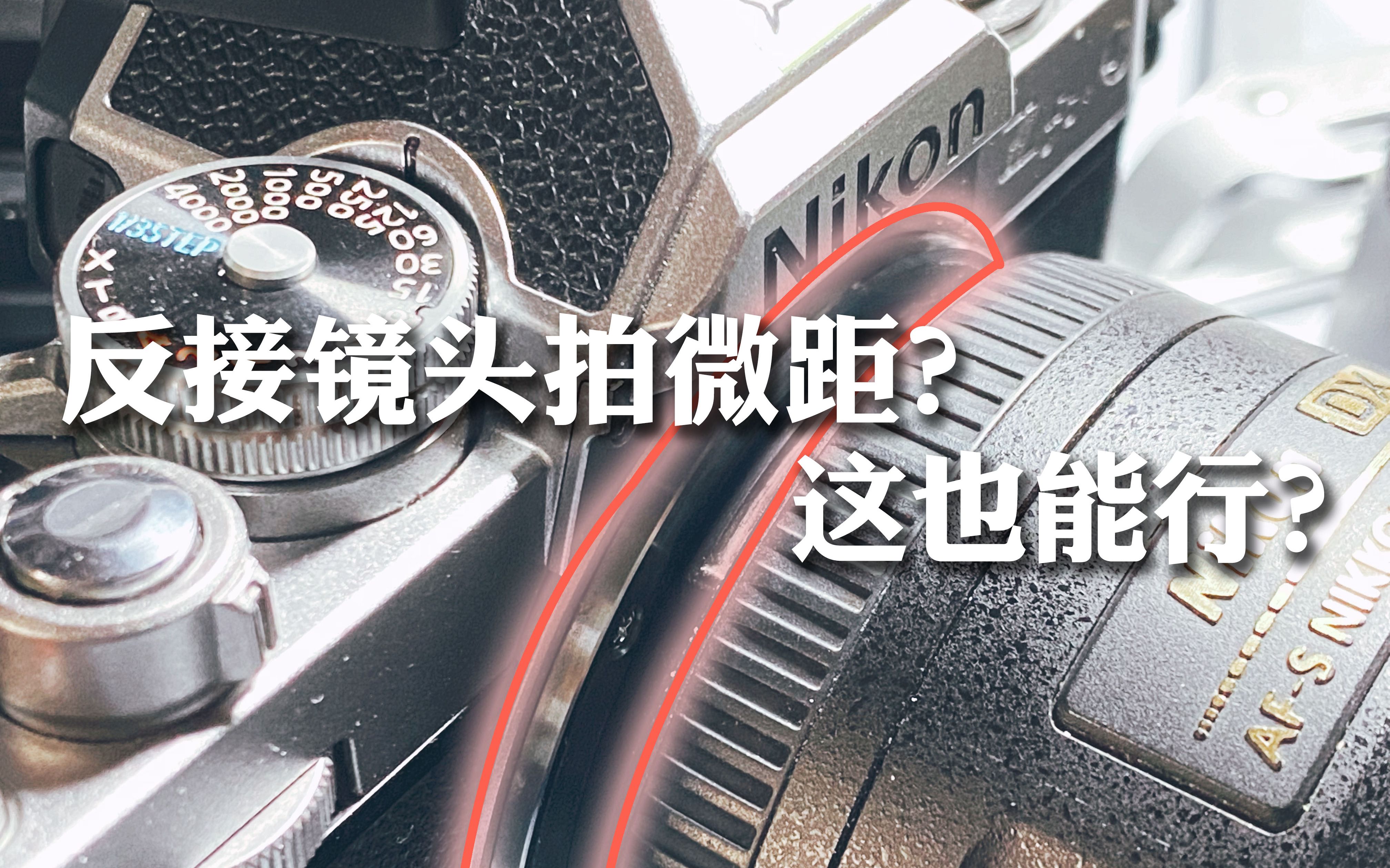 【VIOLET-摄影日记】镜头反装当微距？这能行？