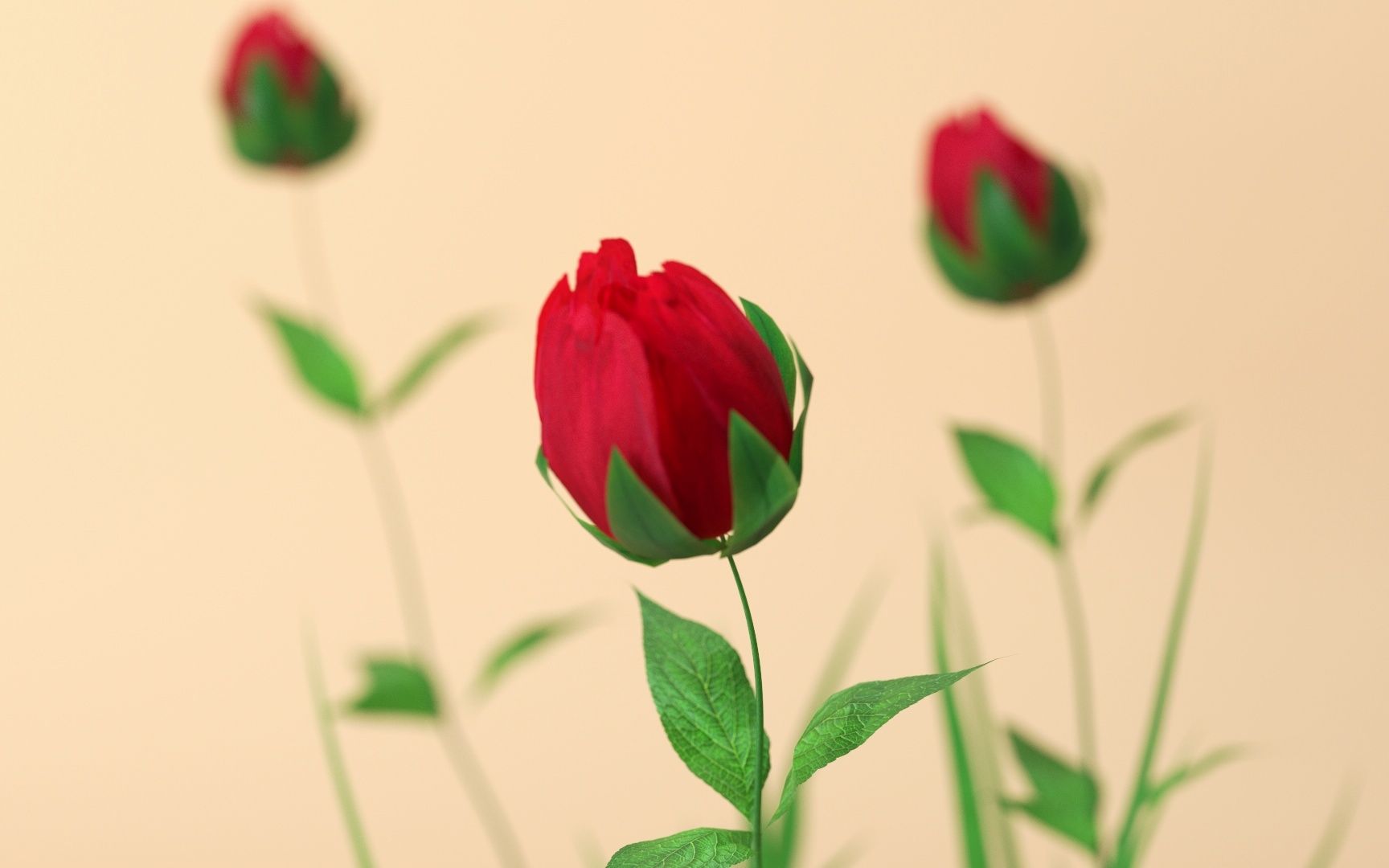 玫瑰花开动画