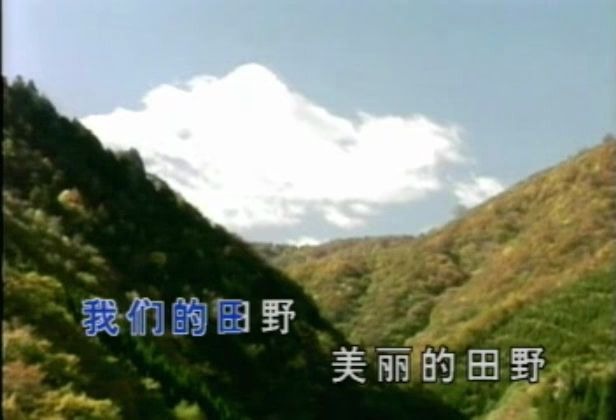 我们的田野 - 黑鸭子
