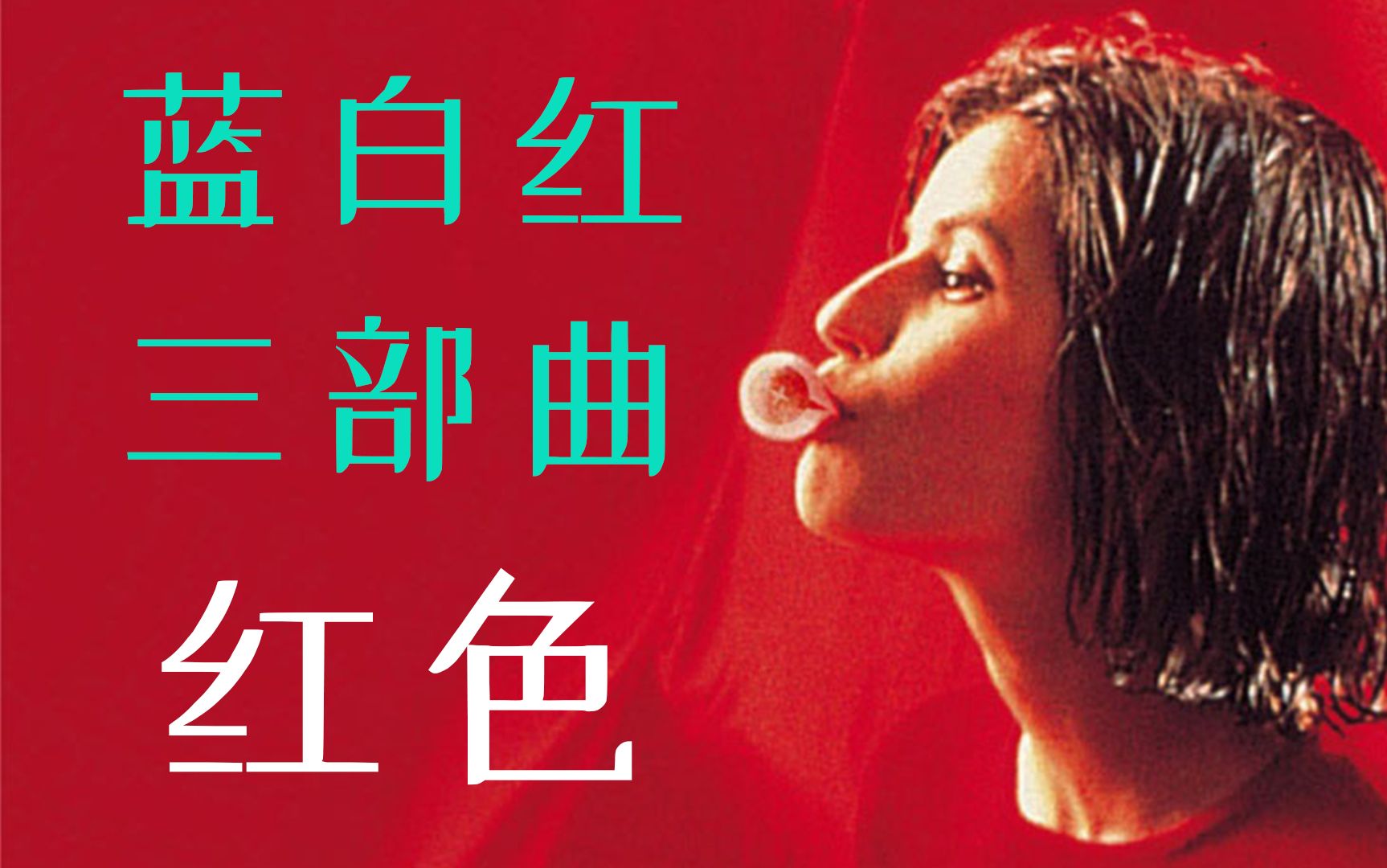 详解蓝白红三部曲之《红》——人都不是孤独的，你必须去爱