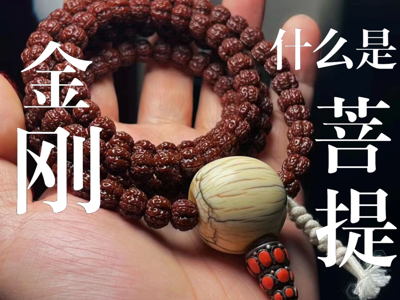 文玩知多少：关于金刚菩提的那点事儿
