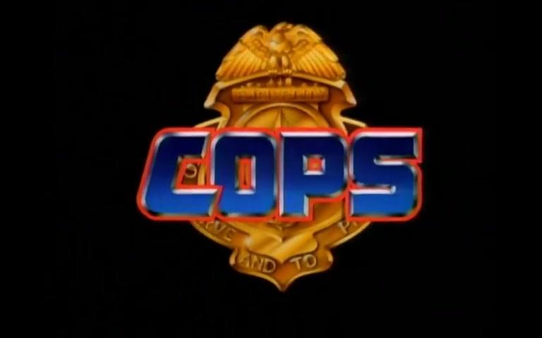 【合集/480P】COPS  65集【生肉】
