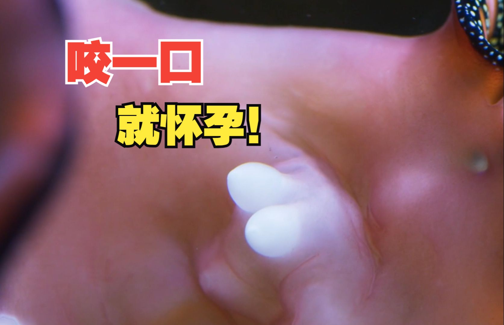 不论男女，咬一口就怀孕！