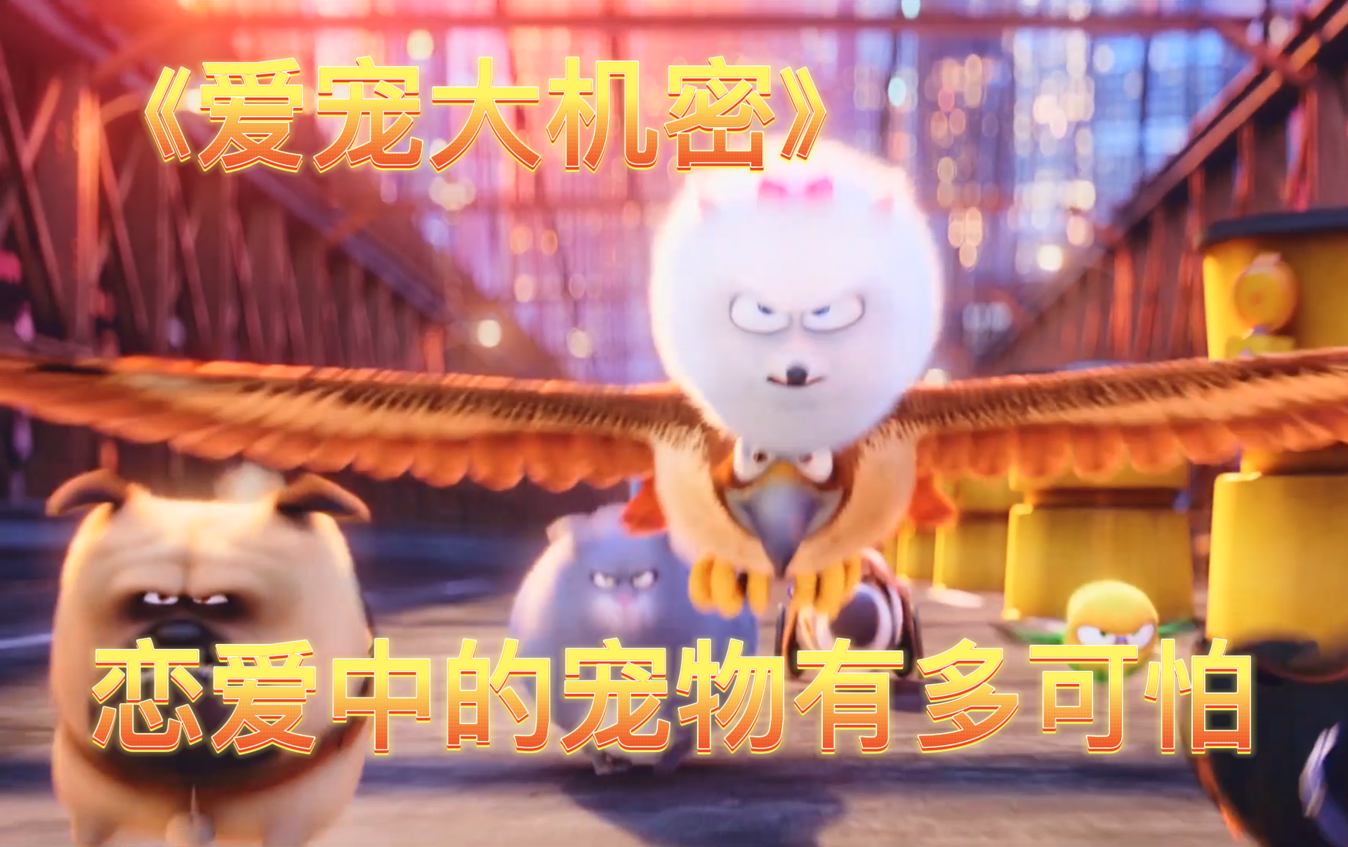 【爱宠大机密】恋爱中的宠物有多可怕
