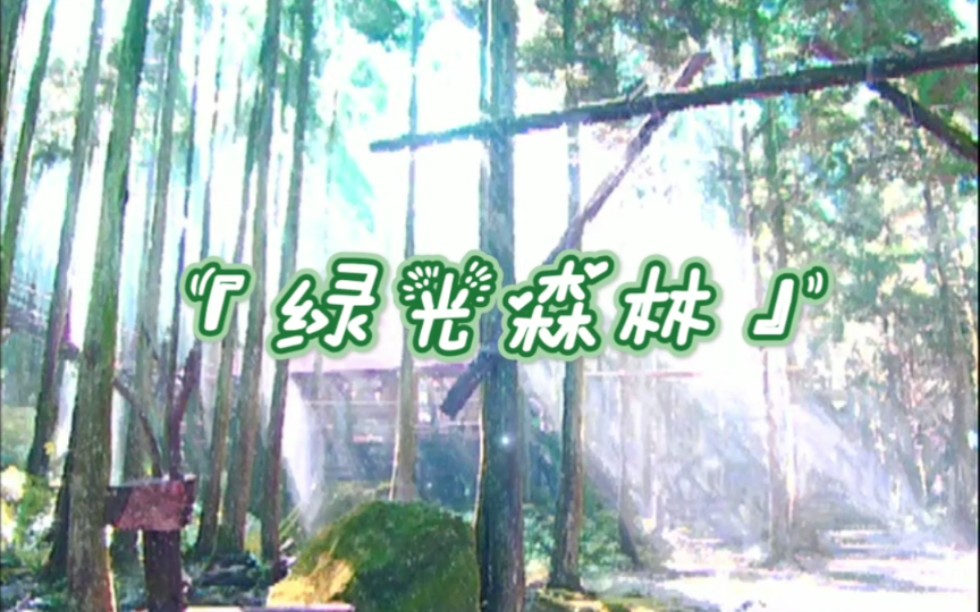 【『绿光森林』】 ☞  苏菲×威廉cut（全） ‖ and靳元方苏珊   ☞  只要相信，就会看到幸福绿光
