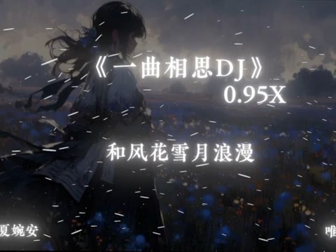 一曲相思DJ降调版 欲问青天，这人生有几何