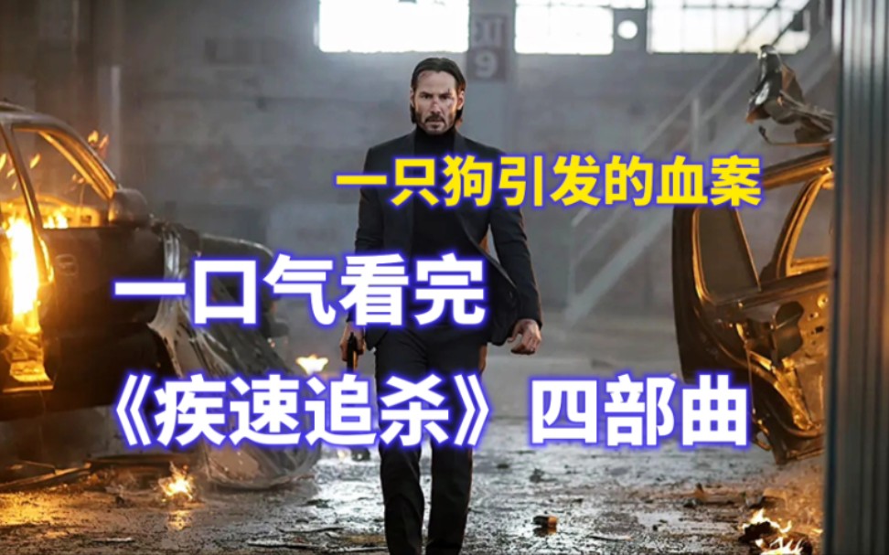 一口气看完《疾速追杀》四部曲，还我狗命！！