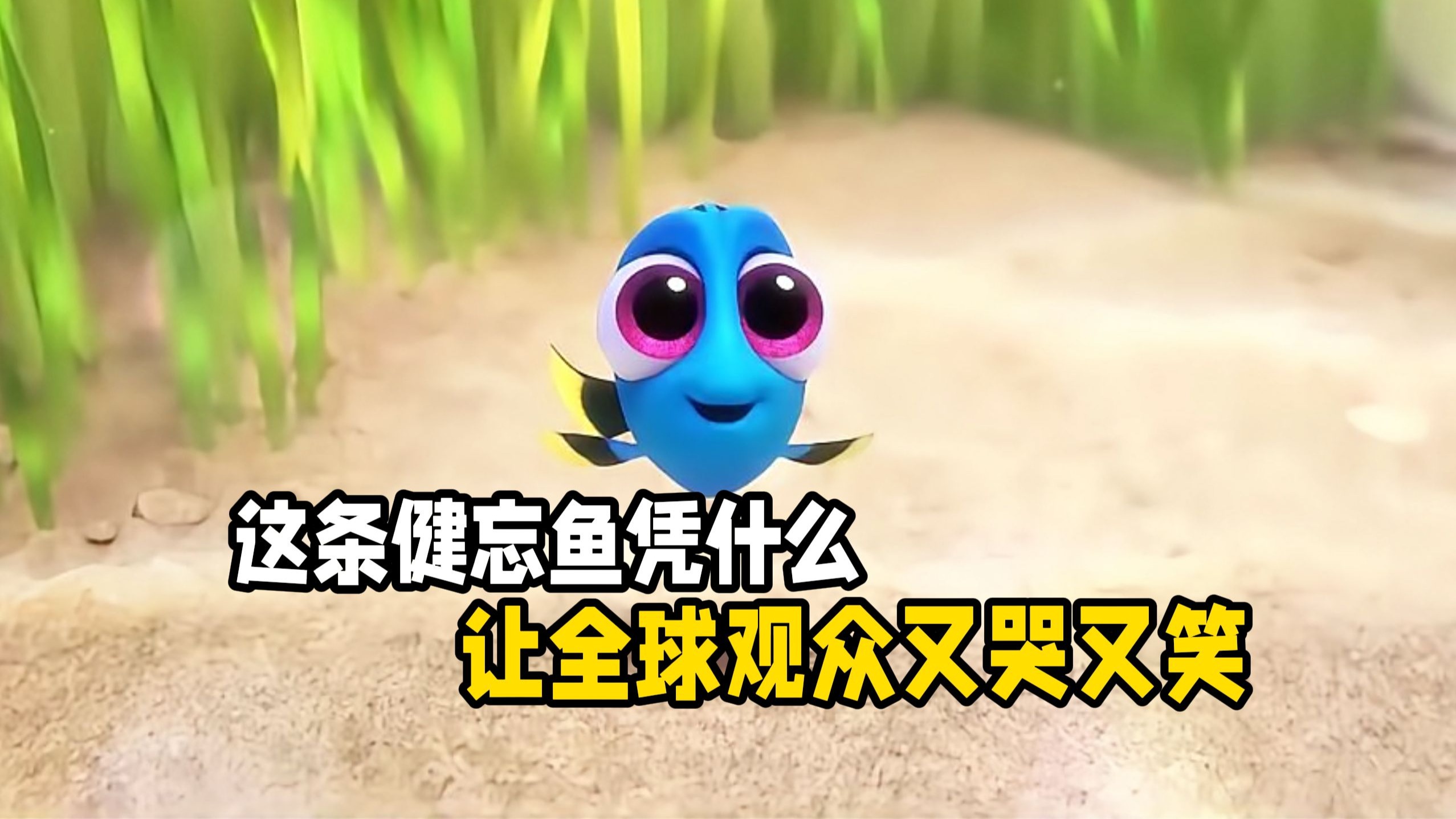 七秒记忆的鱼，竟要横跨海洋找家人，记忆会消失，但爱不会。