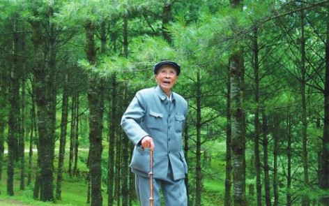 感动中国杨善洲
