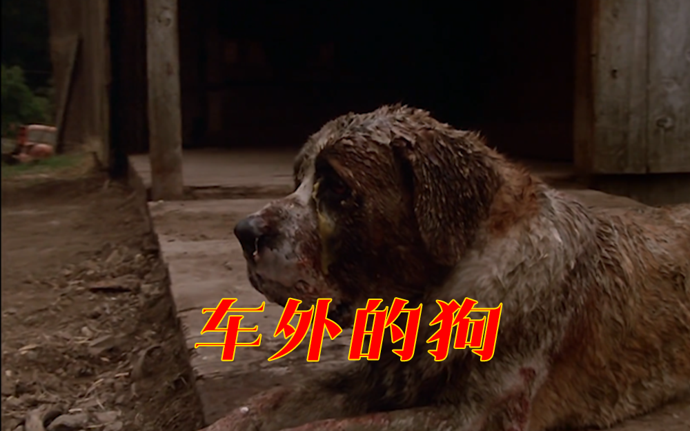 【狂犬惊魂】狗狗变异发狂逢人就咬？