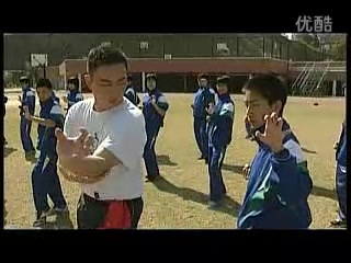 【传武】广东五名拳之一，莫家拳！