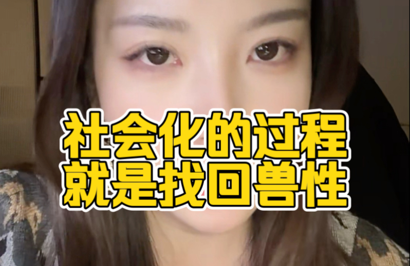 这个世界真实的运行规则4个字:动物世界