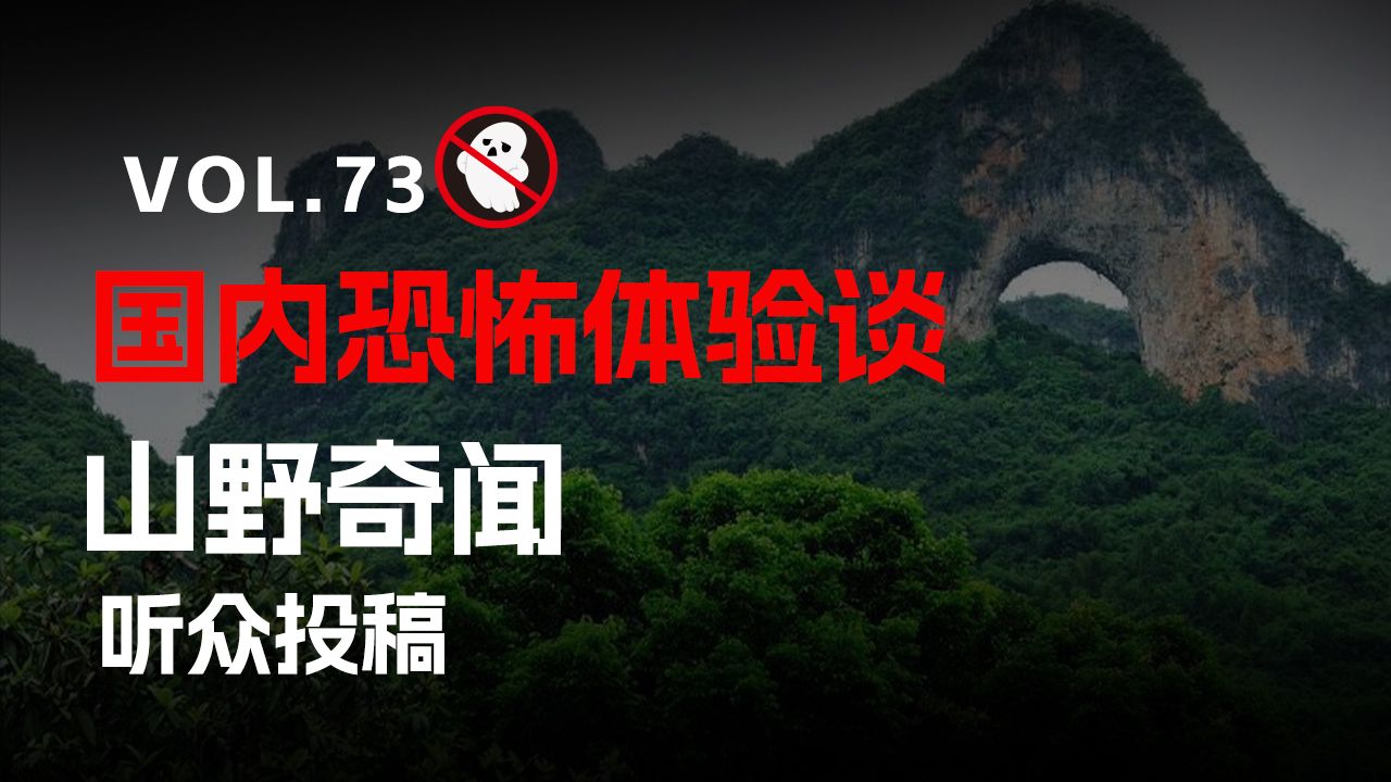 【请勿打扰73】国内恐怖体验谈：横跨几十年的山野奇闻，牛首怪婴，大山里的人熊传说，重庆唐家沱背后的水文异闻