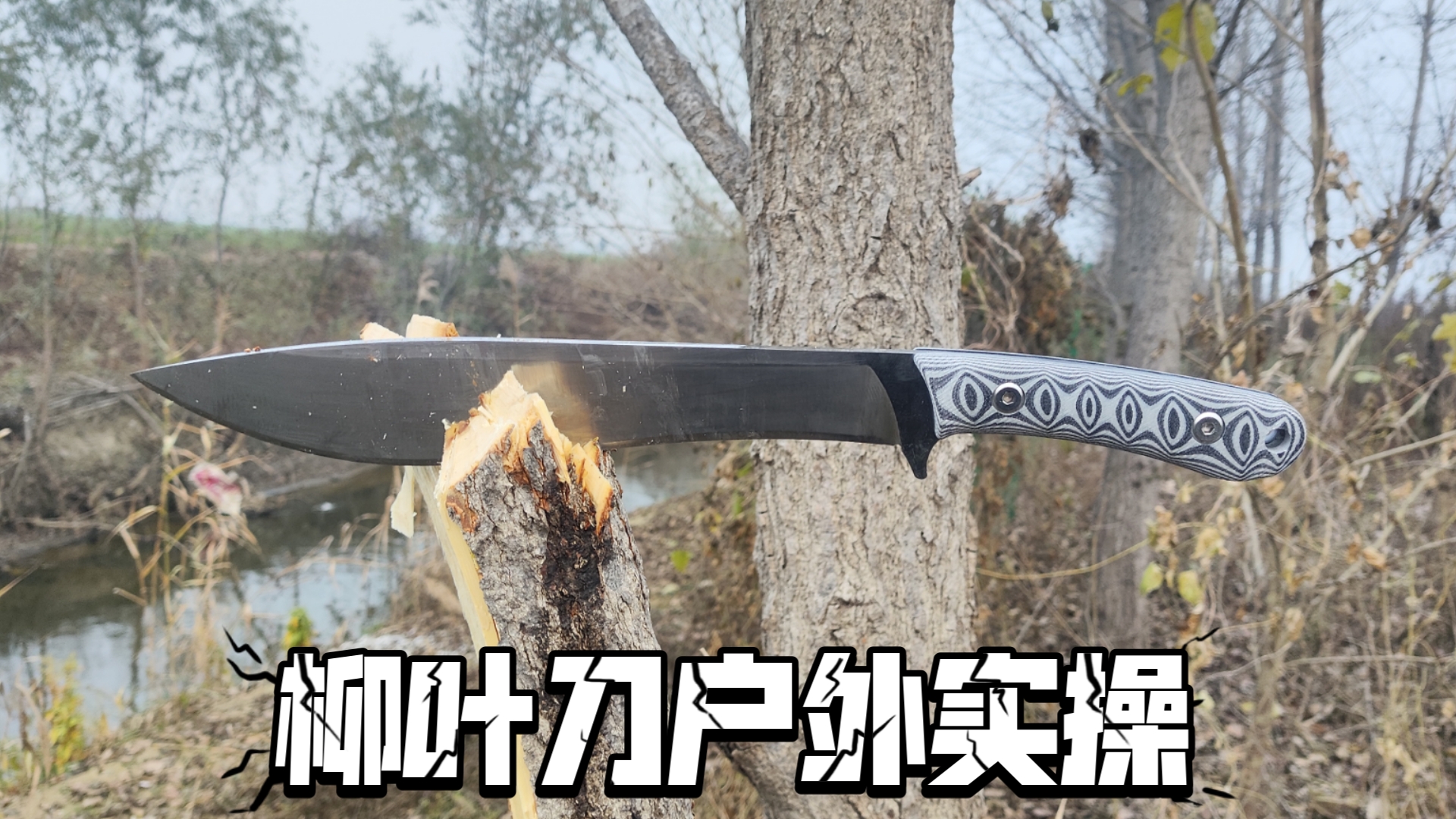 小老弟刀胚 柳叶刀 户外实操砍树