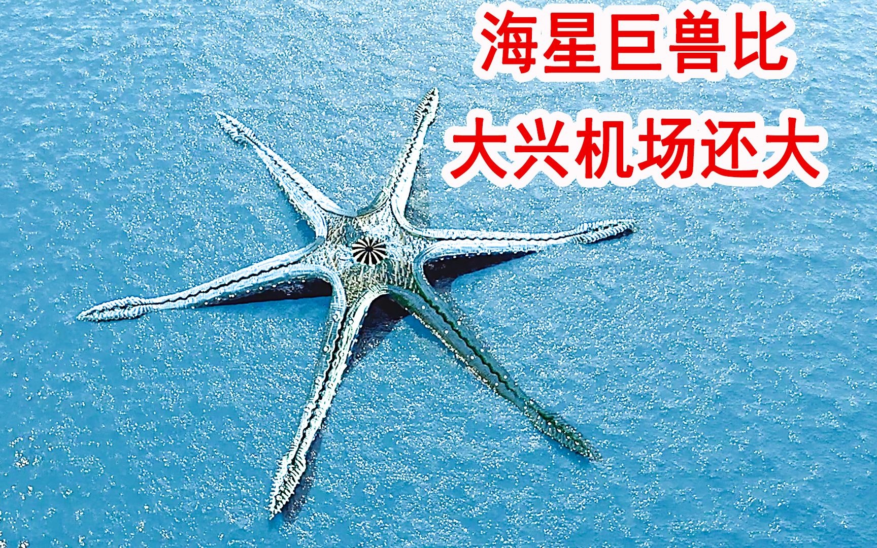 巨星怪兽比大兴机场还大，肚里藏着百万巨蛋，张口就能喷出岩浆！《怪兽之岛》
