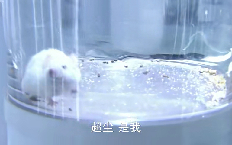不一样的美男子1-1