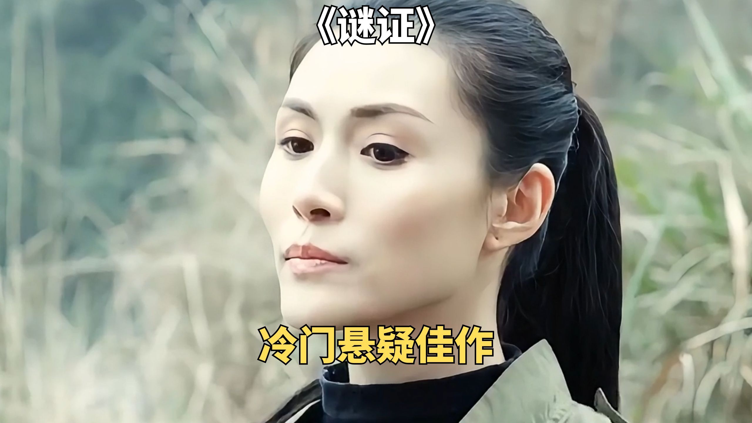 寡妇和婆婆深夜离奇失踪，引出陈年命案。冷门悬疑佳作《谜证》