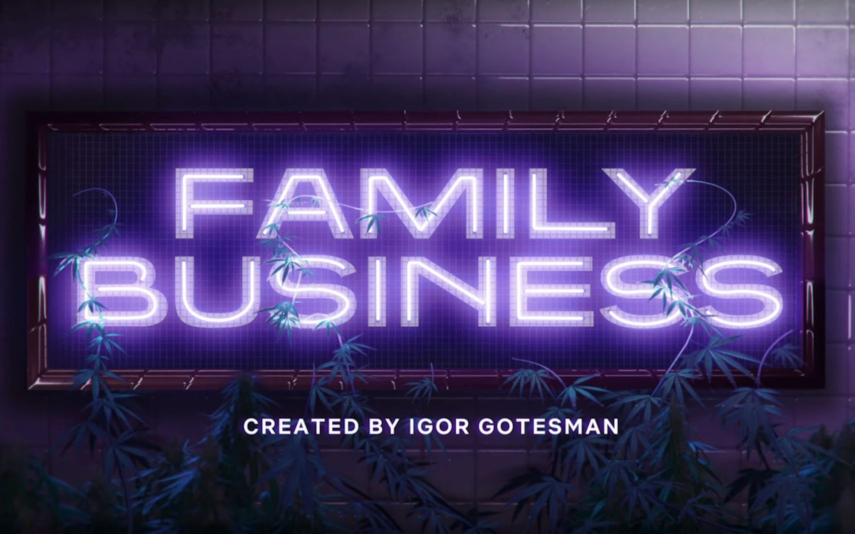 【中法字幕】Family Business S01 高分法剧 全剪辑